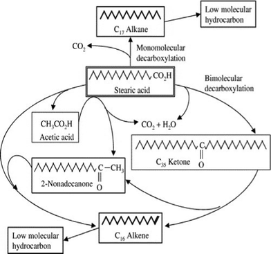 Pathways for stearic acid conversion in supercritical water with and without additives.148