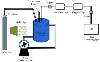 Schematic demonstration of photocatalytic hydrogen generation by water reduction.