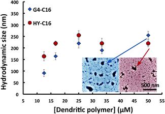 Hydrodynamic size of dendritic polymers mixed with C16. Both G4 (blue diamonds) and HY (red circles) saturate in size growth near 200 nm. This growth indicates strong inter-complex interactions. Inset: transmission electron microscopy images of G4-C16 (blue) and HY-C16 complexes (red). Scale bar: 500 nm.