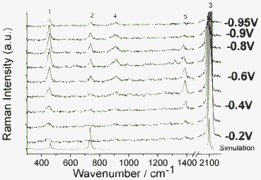 The Raman spectra of SCN− in solution and its SERS spectra on Ag electrode with applied voltage from −0.2 V to −0.95 V vs. SCE. See text for the assignments of band 1, 2, 3, 4 and 5.