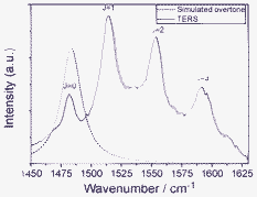 TER and simulated overtone spectra.