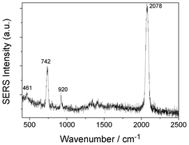 The SERS spectrum of SCN− adsorbed on Ag film.