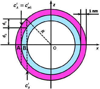 Cross-section of an ideal spherical nanoparticle (R: radius; z-axis parallel to electron-beam; x-axis corresponds to line-scan direction; with two sub-shells SS1 and SS2, both 1 nm in diameter, indicated by red/blue color.