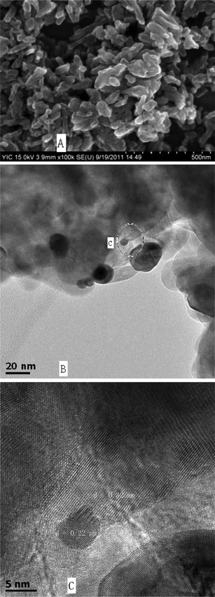 A) SEM of 0.18Pt–TiO2. B) TEM of 0.18Pt–TiO2. C) HRTEM of the circle part at B.