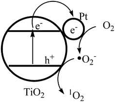 Formation mechanism of 1O2 on Pt nanoparticles modified rutile TiO2.