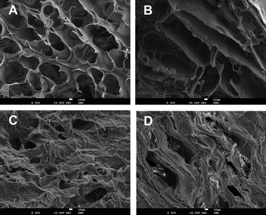 SEM images of chitosan (CHT) based-monoliths before and after functionalization with the ligand 22/8: (A) CP_N, native monolith prepared from chitosan and polyvinyl alcohol (CP); (B) CG_N, native monolith prepared from chitosan and glycidyl methacrylate (CG); (C) CP_22/8, CP monolith functionalized with ligand 22/8 and (D) CG_22/8, CG monolith functionalized with ligand 22/8. All the images have a magnification of 300 and the scale bar in white indicates 10 μm.