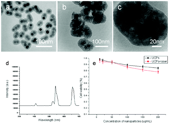 TEM images of silica-coated nanocrystals obtained from 200 μL TEOS, 80 μL octadecyltrimethoxysilane (C18TMS) and 40 mL 0.04 M cyclohexane solution of NaYF4 nanocrystals before calcination (a) and after calcination at 500 °C for 2 h (b–c); (d) fluorescence spectra of the NaYF4:Yb/Er@mesoporous silica nanoparticles obtained from the samples shown in Fig. 3a after calcination at 500 °C for 2 h under excitation of 980 nm; (e) viability of cells incubated with the NaYF4:Yb/Er@mesoporous silica nanoparticles.