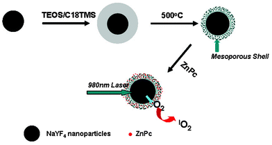 Schematic illustration of the facile synthesis of a mesoporous silica-coating on the up-converted nanoparticles for the PDT of cancer cells with a 980 nm laser.