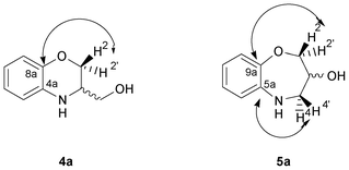 Representation of the HMBC interactions observed in the six- and seven-membered rings (4a and 5a).