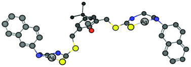 A proposed model for the binding of Ag+ with chemosensor 1 in a 2 : 1 ratio.