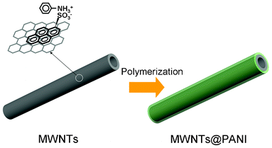 Schematic illustration of the formation of MWNTs@PANI nanocomposites.