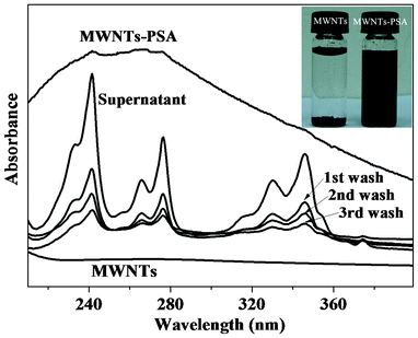 Spectroscopic monitoring of unbound PSA removal and UV-vis spectra of aqueous dispersions of MWNTs and MWNTs–PSA, respectively (inset is a digital photograph of aqueous suspensions of MWNTs and MWNTs–PSA).