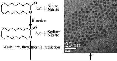 The overall schematic procedure for preparing silver nanoparticles. The silver oleate precursor was prepared by the reaction of silver nitrate with sodium oleate. The thermal reduction of the silver oleate precursor in the environmentally friendly solvent (oleic acid) produced monodisperse silver nanoparticles.