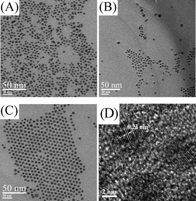 TEM images of silver nanoparticles synthesized at 150 °C, 10 mM in oleic acid for reaction times of (A) 15 min, (B) 30 min, (C, D) 1 h.