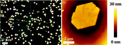 (a) Optical image of as-prepared Sb2Te3 NPs at a rate of 64 °C min−1 up to a temperature of 510 °C. (b) Topography AFM image of Sb2Te3 NPs.