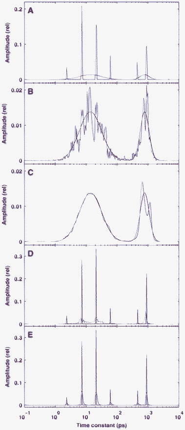 Performance of the sparse analysis in the reconstruction of distributed kinetics. The true distributions are indicated by red lines. Panel A: reconstruction from a single simulation with a noise level of δ = 10−3 and a regularization parameter of λ = 3 × 10−4. Panel B: average of 100 reconstructions with δ = 10−3 and λ = 3 × 10−4. Panel C: average of 100 reconstructions with δ = 10−4 and λ = 3 × 10−5. Panels D and E: average of 100 reconstructions from a sparse true distribution, similar to the result of the reconstruction presented in panel A with λ = 3 × 10−4, δ = 10−3 (D) and δ = 10−4 (E).