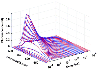 Time and wavelength dependence of the fluorescence from 1.5 × 10−3 M FAD in water (pH = 8.0). Blue lines: experimental data, red lines: fitting by BPDN with λ = 3 × 10−4.