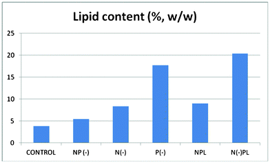 Lipid Content of Spirulina at different culture media.