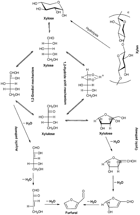 Proposed mechanisms for the production of furfural from xylose. Adapted from refs. 22, 60 and 83.