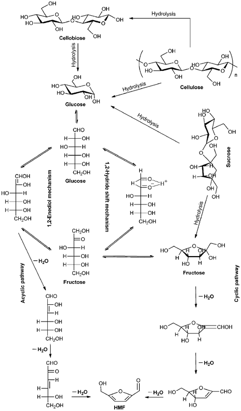 Proposed mechanisms for the production of HMF from glucose. Adapted from refs. 5, 168 and 173.