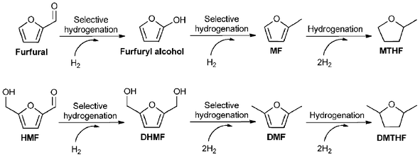 Reaction pathways for the hydrogenation of furfural and HMF.