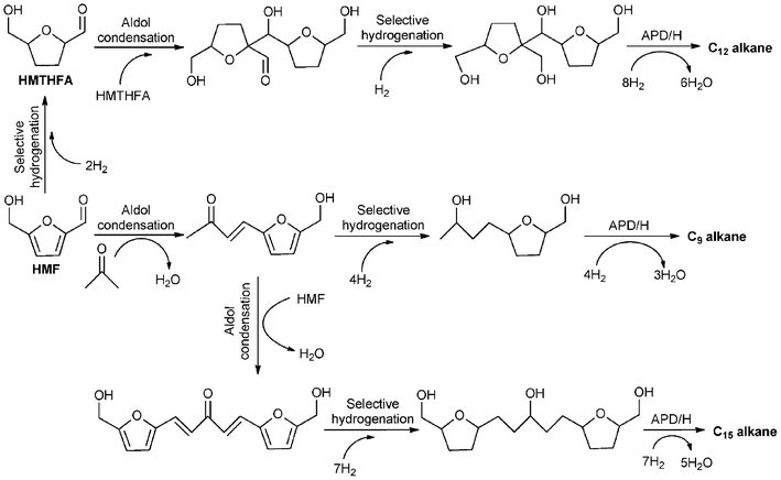 Reaction pathways for the conversion of HMF into alkanes. Adapted from ref. 40.