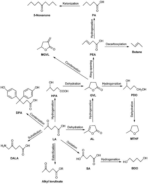 Reaction pathways for the conversion of LA into fuels and chemicals.