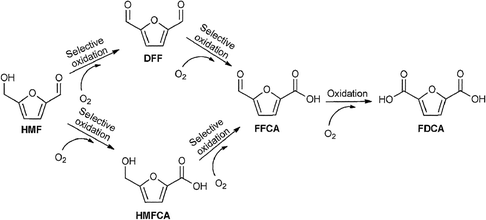 Reaction pathways for the oxidation of HMF into DFF and FDCA. Adapted from ref. 249.