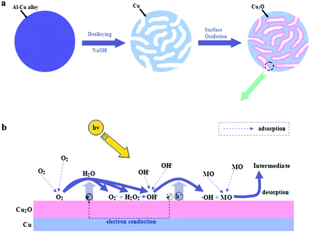The schematic illustration showing (a) the formation mechanism of the nanoporous core–shell Cu@Cu2O photocatalyst and (b) the photodegradation mechanism of MO.