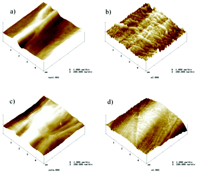 AFM pictures recorded in a 5 × 5 μm area of different PVDF samples: a) non-poled; b) non-poled with titanium; c) poled + and d) poled + with titanium.