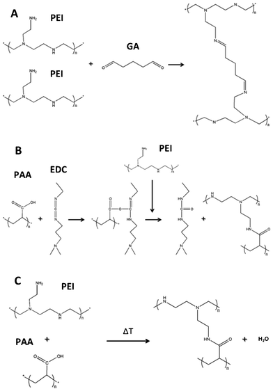 Chemistry for PEI/PAA assemblies exposed to GA (a), EDC (b) or heat (c).
