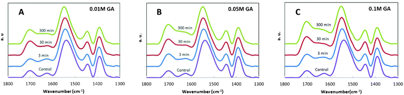 ATR-FTIR spectra of (PEI/PAA)10 films crosslinked for varying times and with varying concentration of glutaraldehyde (a–c). These spectra are intentionally overlaid with arbitrary offset for clarity.