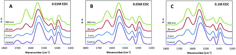 ATR-FTIR spectra of (PEI/PAA)10 films crosslinked for varying times and with varying concentration of EDC (a–c). These spectra are intentionally overlaid with arbitrary offset for clarity.
