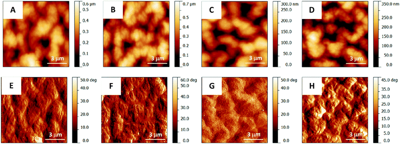 AFM surface images of (PEI/PAA)10 films prepared with varying crosslinking conditions: control (a)(e), 0.1 M GA (b)(f), 0.1 M EDC (c)(g), 150 °C (d)(h). (a)–(d) are height images and (e)–(h) are phase images. All crosslinking was performed for 30 min.