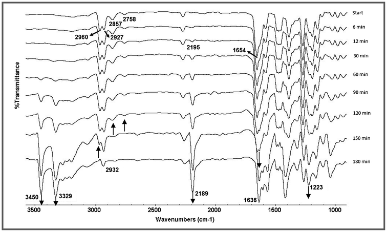 IR monitoring by the ATR method of the solvent and catalyst free reaction between salicylaldehyde and malononitrile under grinding conditions at room temperature.