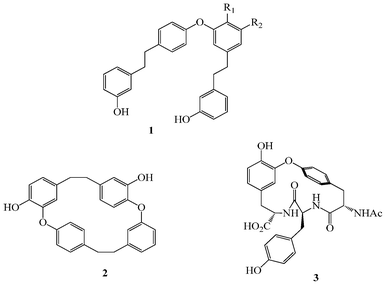 Examples of the diaryl ether motif in natural products. R1 and R2 in 1 are H, OH or OMe.