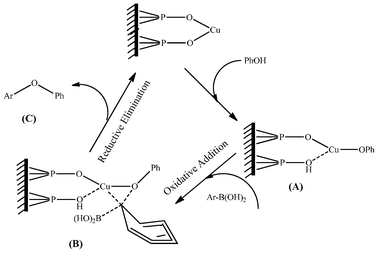 Possible mechanism of the reaction over the ligand-free CuFAP catalyst for diaryl etherification.