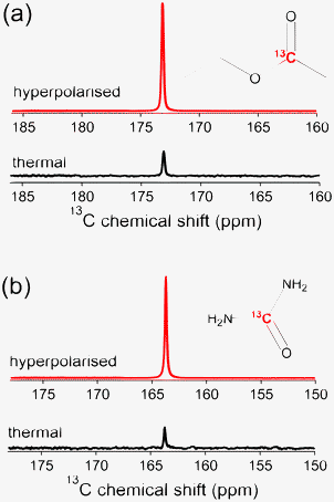 (a) Representative hyperpolarised (θflip = 0.5°) and thermal (θflip = 90°, 16 scans) 13C NMR signals of [1-13C]ethyl acetate (64 mM in methanol) taken at 9.4 T and 298 K. Average NMR enhancement ε = 5300 ± 450; T1 = 45 s. (b) Hyperpolarised (θflip = 1°) and thermal (θflip = 90°, 16 scans) NMR signals of [13C]urea (25.6 mM in water). Average NMR enhancement ε = 3200 ± 520; T1 = 44 s. The insets are the corresponding structures of the studied compounds.