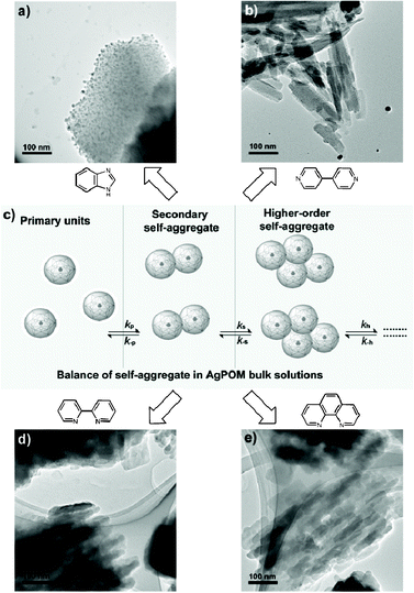 (a) Zero-dimensional nanostructures, nanoparticles (1a), from the self-assembly of Ag6[PV3Mo9O40] with mononitrogen donor benzoimidazole. (b) One-dimensional nanostructures, nanorods (1b), from the self-assembly of Ag6[PV3Mo9O40] with 4,4′-dipyridine. (c) Self-aggregate balance of Ag6[PV3Mo9O40] clusters in CH3CN solution. (d) Self-assembled nanostructures (1d) from Ag6[PV3Mo9O40] and 2,2′-dipyridine. (e) Two-dimensional nanostructures, nanosheets (1e), from the self-assembly of Ag6[PV3Mo9O40] with 1,10-phenanthroline.