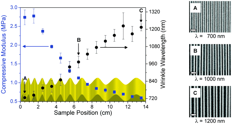 Correlation of compressive modulus (blue squares) and wrinkle wavelength (black dots) of the surface-wrinkled PDMS gradient material. For illustration, the continuously changing wrinkle wavelength is schematically shown as a function of the sample position. The SEM images show the different wrinkle wavelength at the sample positions 0.5 (A), 6.5 (B) and 13.5 cm (C). The white scale bar in the lower left corner represents 1000 nm.
