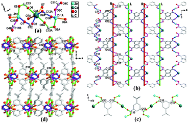 (a) Schematic representation of a 6-connected SBU Zn2Ca(COO)6 for ZnCa-tbip; (b) A 2D bilayer involving the alternated right-hand and left-hand helices along the c axis, where R and L denote the right-hand and left-hand helices, respectively; (c) An infinite chain of carboxylate group O–C13–O and the Zn2Ca clusters; (d) A 3D MOF constructed from the Zn2Ca clusters and tbip ligands for ZnCa-tbip; Symmetry codes: A (x, 0.5 − y, 1.5 − z), B (0.5 + x, y, 1 − z), C (0.5 + x, 0.5 − y, 0.5 + z).