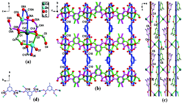 (a) Schematic representation of a 6-connected SBU Zn2Cd(COO)6 for ZnCd-mip; (b) A 3D MOF constructed from the Zn2Cd clusters and mip ligands for ZnCd-mip, where blue denotes the mip ligands used as pillars; (c) A 2D meso-helical layer featuring the alternated right-hand and left-hand helices along the b axis, where R and L denote the right-hand and left-hand helices, respectively; (d) 1D single chain resulting from the coordination of the carboxylate group O–C10–O with the Zn2Cd clusters; Symmetry codes: A (1 − x, 1 − y,1 − z).