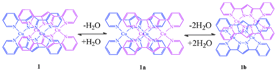 Schematic representation of the stacking modes in the supramolecular dimers for 1, 1a and 1b.
