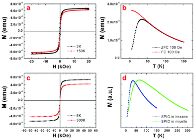 Magnetic properties: (a) field-dependent magnetization for the SPIO nanoparticles in hexane at 5 K and 150 K, (b) the temperature-dependent magnetizations for the SPIO in hexane under zero-field-cooled (ZFC) and field-cooled (FC) processes, (c) field-dependent magnetization for DOX/SPIO-loaded Ch–HA micelles at 5 K and 300 K, (d) ZFC measurements for the SPIO nanoparticles and DOX/SPIO-loaded Ch–HA micelles.