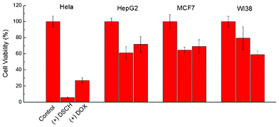 Cell viabilities of HeLa, HepG2, MCF7 and WI38 after incubation with DSCH micelles after 24 h.