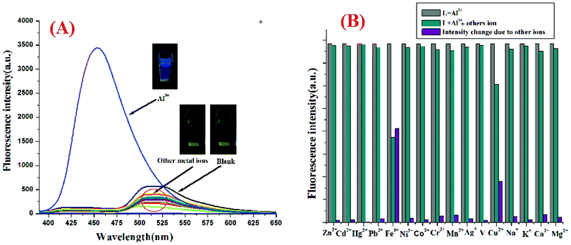 (A) Emission spectra of L2 (10 μM) in DMSO/H2O (1 : 2, v/v) solution in the presence of 100 μM of Na+, K+, Ca2+, Mg2+, Ag+, Mn2+, Hg2+, Fe3+, Co2+, Ni2+, Cu2+, Zn2+, Cd2+, Pb2+ and Al3+ respectively (λex, 360 nm). (B) Effect of foreign cations (200 μM) on the highest emission intensity of the [L2–Al3+] system in DMSO/H2O (1 : 2, v/v).