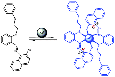 Proposed binding mode for interaction of Al3+ with L2.