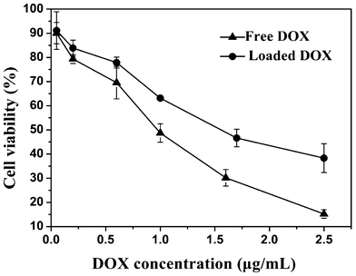 Cytotoxicity of free DOX and DOX-loaded PHEMA-g-(PCL-A:U-PEG) micelles to Hela cells after 48 h incubation (n = 3).