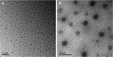 TEM images of (A) PHEMA-g-(PCL-A:U-PEG) micelles and (B) DOX-loaded PHEMA-g-(PCL-A:U-PEG) micelles.