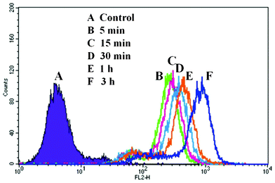 Flow cytometry histogram profiles of Hela cells that were incubated with self-assembled PHEMA-g-(PCL-A:U-PEG) micelles containing DOX for different time intervals.